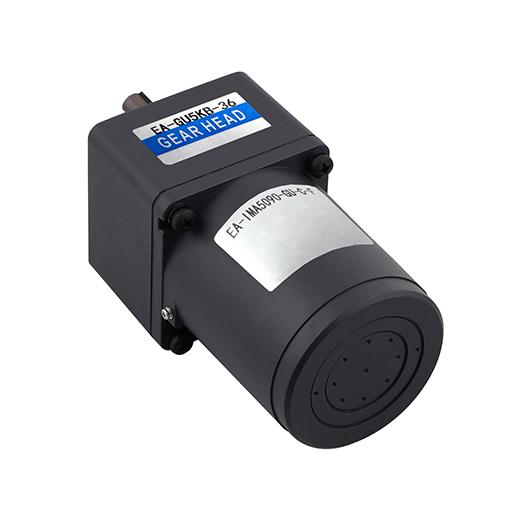 Small AC Induction Motors 6-200W