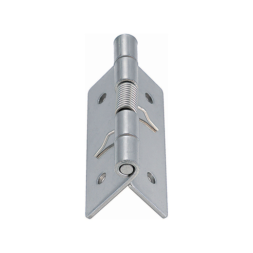 Stainless Steel Hinges with Spring